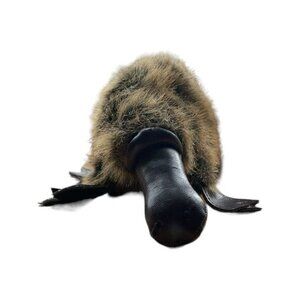 Realistic Platypus Plush Toy For Kids - Made In China